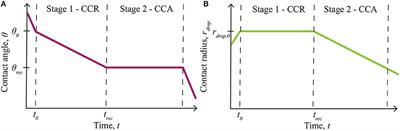 Mathematical Modeling of Diffusion of a Hydrophilic Ionic Fertilizer in Plant Cuticles: Surfactant and Hygroscopic Effects